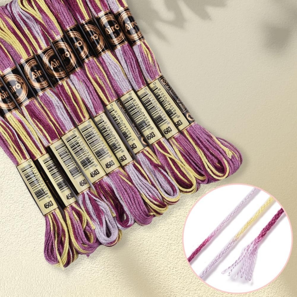 6-strengen paars bonte borduur - Embroidery Floss Thread recensie en prijs